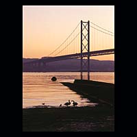 roadbridge birds swans wading pair  transport travel history historic historical construction industry industrial wild wildlife life
 country countrylife orange night sky skies crossing spanning span over bank metal concrete  Scottish photographs Doug Houghton